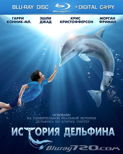 История дельфина (2011)