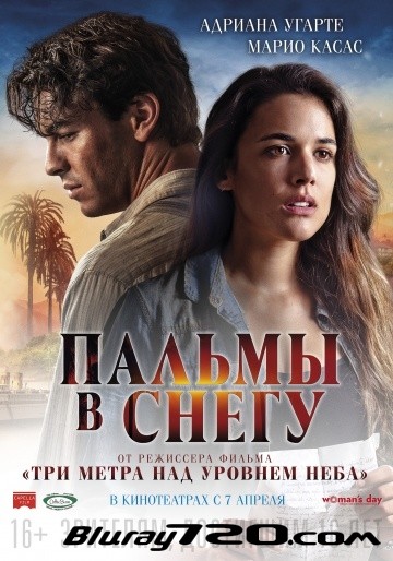 Пальмы в снегу (2015)