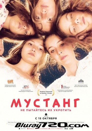 Мустанг (2015)